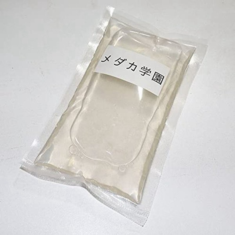 メダカ学園ゾウリムシ インフゾリア 0ml 培養セット めだか 稚魚の生餌 エサ 培養用の酵母１０錠付メダカ学園 0ml 通販 Lineポイント最大get Lineショッピング