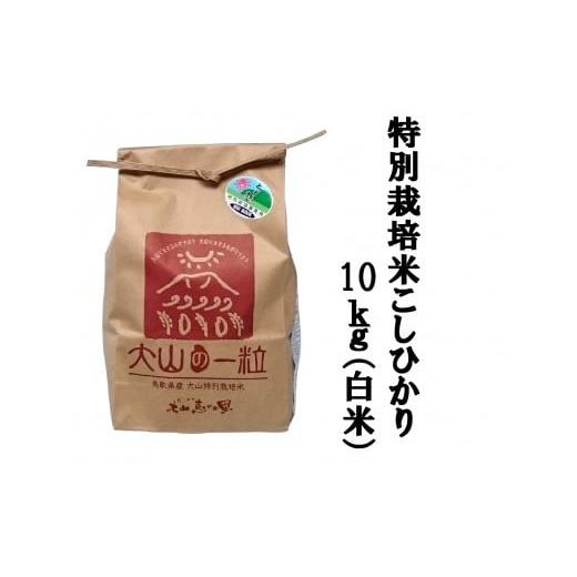 ふるさと納税 鳥取県 大山町 MS-12 減農薬・減化学肥料 特別栽培米こしひかり10kg