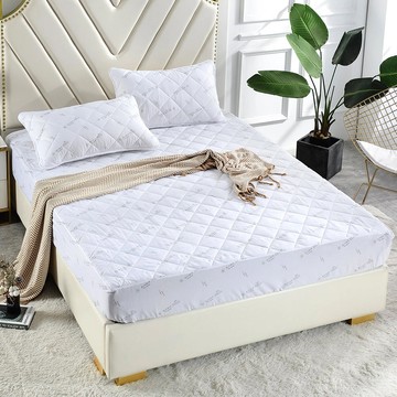 Betrise 銀離子防蹣抗菌床包式防潑水保潔墊 德國銀離子抗菌  特大  1個