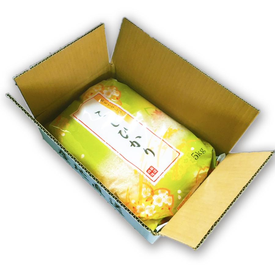 お米　コシヒカリ　5kg　令和5年　新潟産　特別栽培　白米　産地直送
