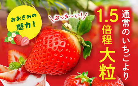 宮崎県産イチゴ「幸せの紅白いちごセット」3パック（1080g以上：36粒～45粒） いちご 苺