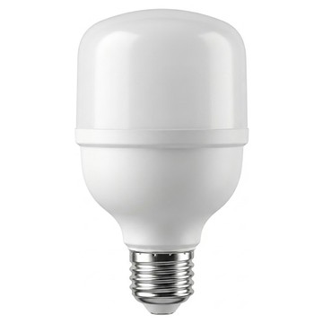 TOA 東亞照明 LED T型燈泡 LLA031T-20AAL-EV 20W  燈泡色  1個