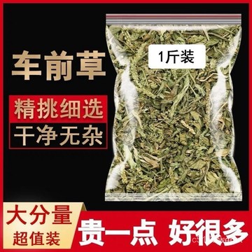 🔥免運下殺價🔥 車前草泡500g茶 水新鮮幹貨精選正宗 野生車前草茶 新貨 車前草茶 車前草 AWYK