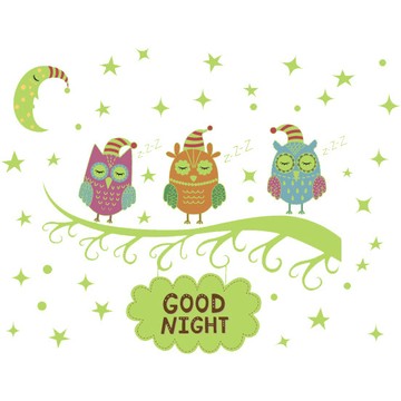 高級無痕環保壁貼 HM31006夜光貓頭鷹-30*60cm