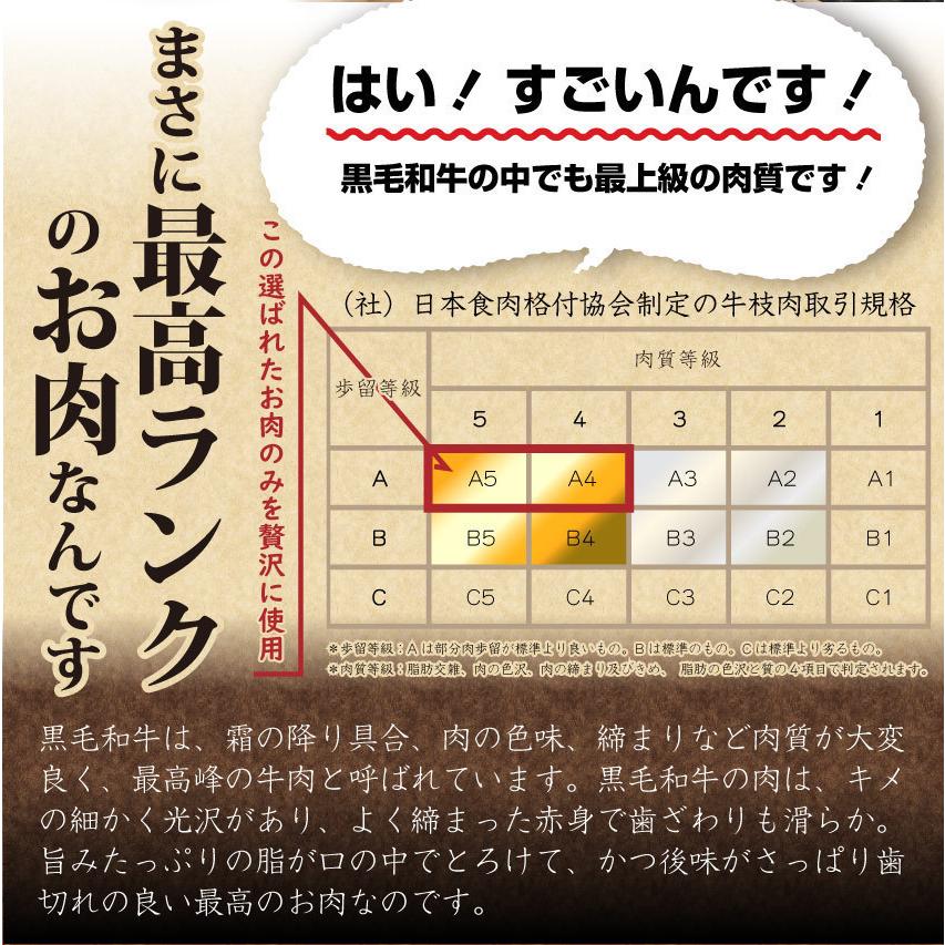 牛肉 肉 黒毛和牛 A4,5等級 とろける カルビ 焼肉 3kg （250g×12） 凍眠 テクニカン お歳暮 ギフト 食品 プレゼント 女性 男性 お祝い グルメ