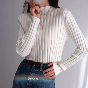 【現+預】限時特價💕 歐美 基本款 日常百搭 秋冬半高領 坑條長袖 包芯紗 短版長袖上衣 修身顯瘦 長袖針織上衣