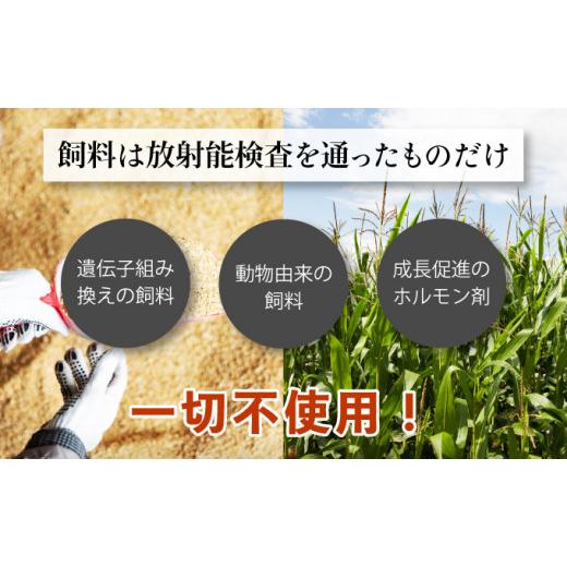 ふるさと納税 北海道 登別市 登別牛サーロインステーキ肉400g（200g×2枚）