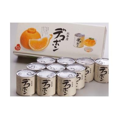 ふるさと納税 熊本県 芦北町 B9-12 デコポン缶詰（10缶入）
