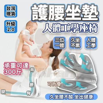 隔日🔥 護腰坐墊 矯正坐墊 辦公室坐墊 靠背腰墊 減壓坐墊 辦公室坐墊 記憶棉花 腰靠坐墊  美臀坐墊 人體工學坐墊