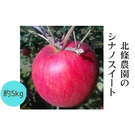 ふるさと納税 2024年先行予約 北條農園の「シナノスイート」5kg 家庭用 長野県松川村