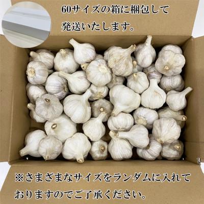 ふるさと納税 あさぎり町 熊本県産　生にんにく 1kg