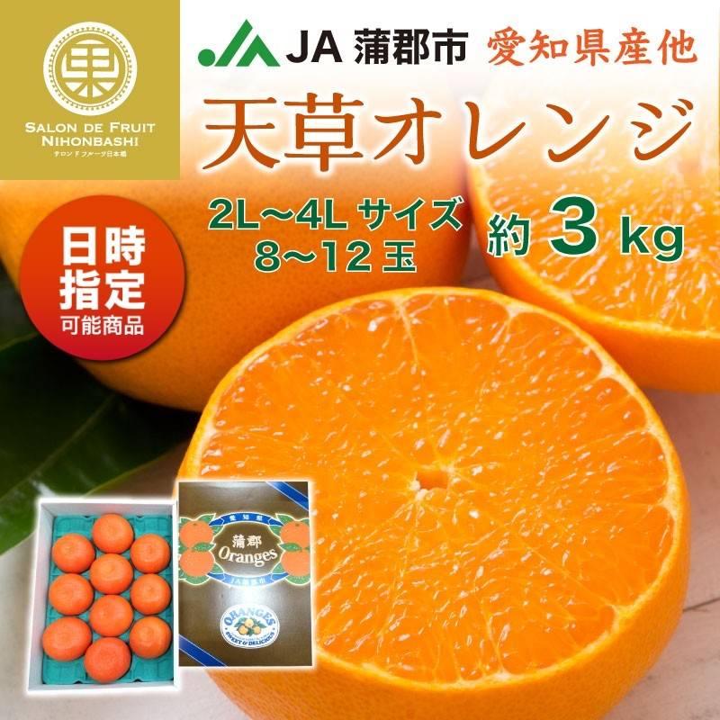 [予約 2023年12月31日必着] 天草 約3kg 8-12玉 2L-4Lサイズ 愛知県蒲郡産ほか 化粧箱 冬ギフト お歳暮 御歳暮 大晦日必着指定