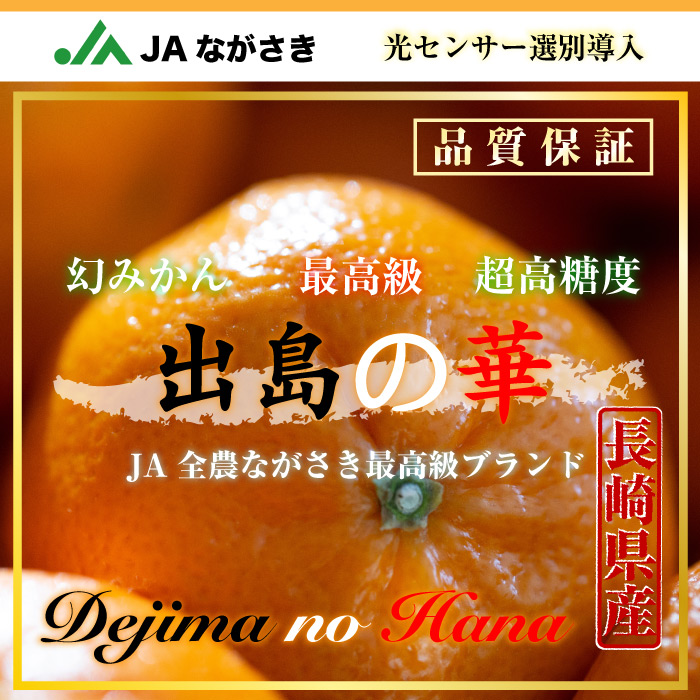 [予約 2023年11月1日-11月30日の納品] 出島の華 みかん 約1kg 長崎県 桐箱 JAながさき 高糖度 長崎 ミカン 高級 冬ギフト お歳暮 御歳暮