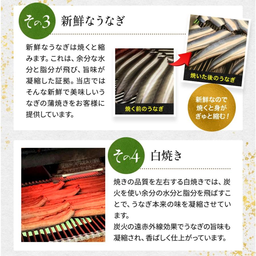 うなぎ 2023 プレゼント ギフト 国産 蒲焼き 3尾 鰻 70代 80代 60代 父の日 お取り寄せ 美味しい