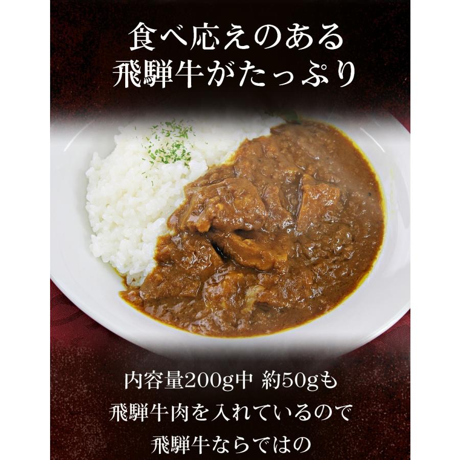 レトルトカレー 贅沢の極み飛騨牛ビーフカレー 2個セット  中辛 高級 レトルト食品 ギフト お中元 御歳暮 内祝い 父の日 お取り寄せ クリスマス