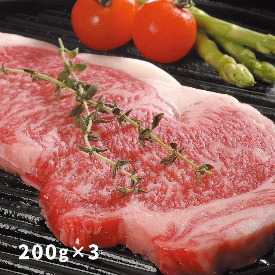 大分 豊後牛 サーロインステーキ 肉 200g×3 お取り寄せ お土産 特産品 お歳暮 おすすめ