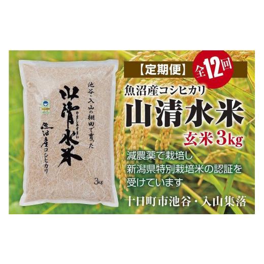 ふるさと納税 新潟県 十日町市 玄米3kg　新潟県魚沼産コシヒカリ「山清水米」