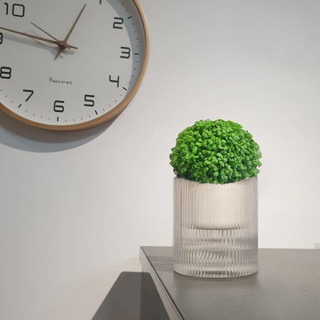 植栽 室內盆栽 圓圓冰淇淋卷柏 蓬鬆燙髮