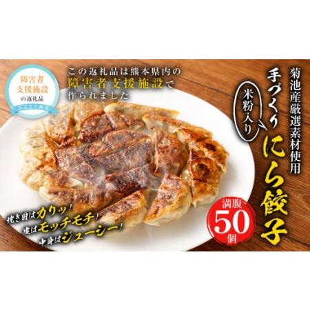 ふるさと納税 こだわりの手作りニラ餃子(冷凍)50個 タレ付き 熊本県