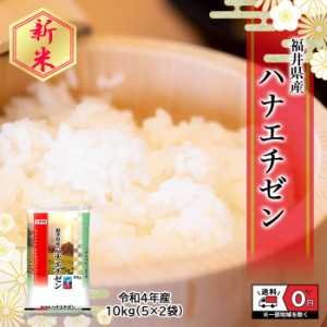 新米 令和4年産 福井県産 ハナエチゼン 5kg×2袋 10kg 米 お米 白米 おこめ 華越前 精米 単一原料米 ブランド米 10キロ 送料無料 国内産