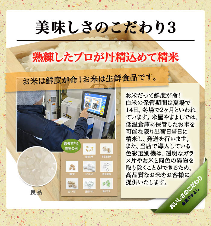 米 お米 福島県中通り産 ミルキークイーン 白米:25kg(5kg×5個)  ※送料沖縄3,000円