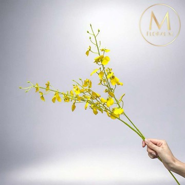 以後都走花路吧🌷快速出貨【Floral M】跳舞精靈文心蘭仿真花花材（1入組）