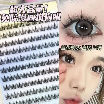 💕臺灣出貨💕 100簇 大容量 免膠 小奶犬係 假睫毛 懶人 濃密自然 新手 睫毛 漫畵眼睫毛