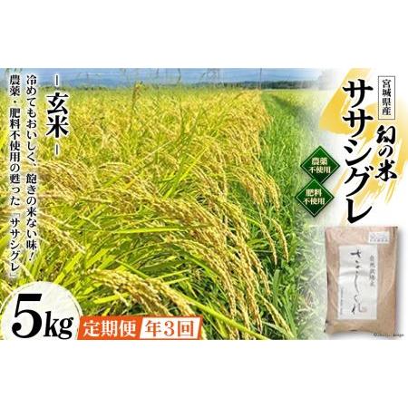 ふるさと納税 3回 定期便 希少品種米 ササシグレ 玄米 5kg×3回 総計15kg   長沼 太一   宮城県 加美町 宮城県加美町