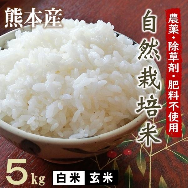 新米 無肥料 自然栽培米 令和5年産 ヒノヒカリ 5kg 農薬化学肥料不使用 ...