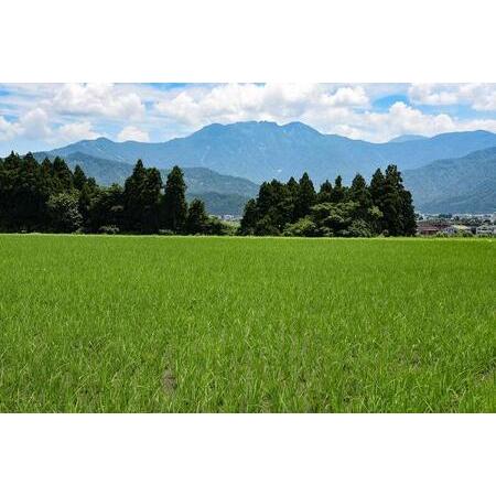 ふるさと納税 10kg×6ヶ月　南魚沼産コシヒカリ 新潟県南魚沼市