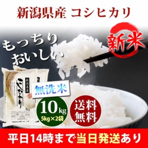 新米 米 無洗米 10kg 新潟県産 コシヒカリ 5kg×2袋 令和5年産 お米 10kg 送料無料 北海道・沖縄配送不可 即日発送 クーポン対象 10キロ