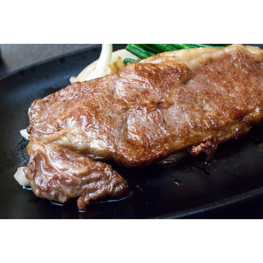 飛騨牛 サーロインステーキ 250g × 1枚 A5 肉 ギフト ステーキ肉 黒毛和牛 鉄板 焼肉
