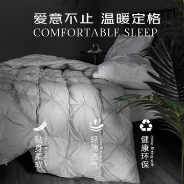 無印良品100%白鵝毛羽毛絨絲被芯冬季被子空調被單人保暖加厚被褥