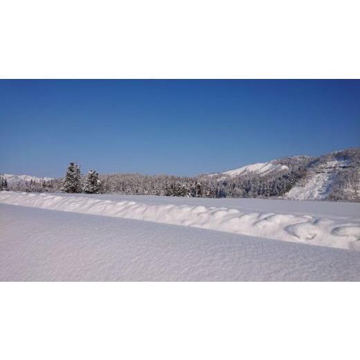 ふるさと納税 新潟県 南魚沼市 南魚沼産コシヒカリ「雪国のかおり」５kg毎月頒布（６ヶ月  全６回）