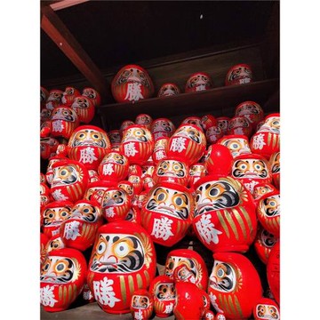 瘋玩日本環球影城1.5日劵｜水生美世界NIFREL.奈良小鹿.達摩勝尾寺五日｜二晚環球旁飯店一晚溫泉飯店_26JX224JXF