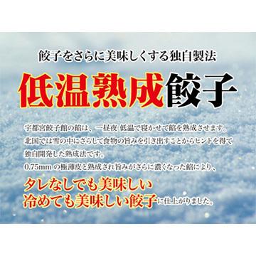 さくら食品宇都宮餃子館 宇都宮餃子館 新人気の3種