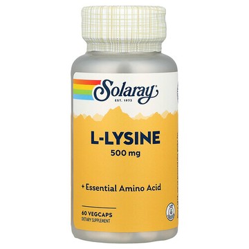 Solaray, L-賴氨酸，500 毫克，60 粒素食膠囊