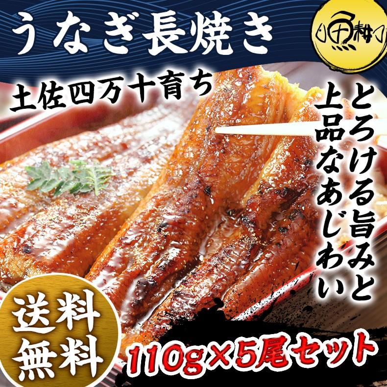 うなぎ 国産 プレゼント お歳暮 2023 ギフト  蒲焼き 四万十うなぎ 長焼き5本セット 最高級 鰻 お取り寄せグルメ