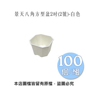 景天八角方型盆2吋(2號)-白色  100個/組