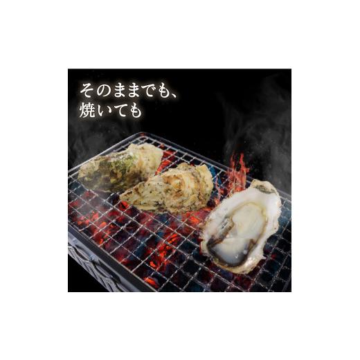 ふるさと納税 岩手県 大船渡市 生食用 殻付冷凍牡蠣 5個 ほや 180g×2袋 セット