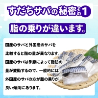 サバ 1.3kg 冷凍 すだち風味 徳島県 小松島市 さば 鯖 鮮魚 切り身 鮮度抜群 海鮮 海鮮食品