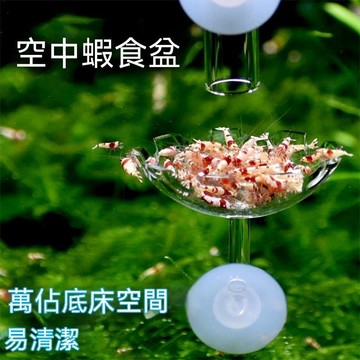 【只售賣餵食器】空中喂觀賞蝦食盤亞克力空中餵食圈蝦食盤底棲魚觀賞螺餵食器00