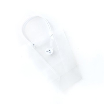 (現貨) 送禮新選擇 ! 透明質感手提禮物袋 (中)