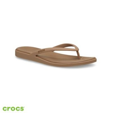 Crocs卡駱馳 (女鞋) 夾腳拖 Miami 邁阿密-巧克力棕色-211435-2JJ