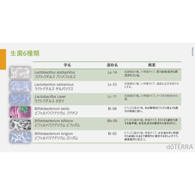 doTERRA ドテラ サプリメント PBアシストプラス 30粒 60億個以上生菌 乳酸菌 ビフィズス菌 SUPPLIMENT 2重カプセル構造 菌活  | LINEブランドカタログ