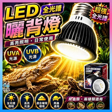 原廠供應【放風水族⚡UVA UVB全光譜曬背燈】爬蟲燈 太陽燈 補鈣燈 蜥蜴燈 陸龜燈 烏龜 曬背燈 守宮 蛇 蠍子