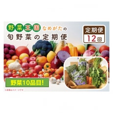 野菜王国なめがたの旬野菜の定期便全12回　CU-130