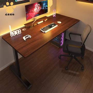 電競桌 電腦桌 臺式 家用雙人書桌 學生臥室簡易 出租屋游戲桌子辦公桌 ws7291