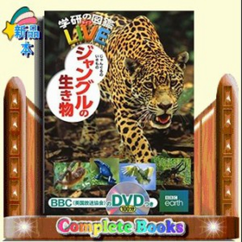 ジャングルの生き物 通販 Lineポイント最大1 0 Get Lineショッピング