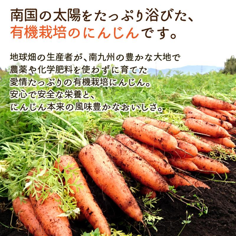 訳あり にんじん 18kg 有機栽培 鹿児島県産 宮崎県産 化学肥料・農薬・除草剤不使用 規格外 ジュース用 訳有 B品 人参 有機JAS 常温便 発送期間11月下旬〜6月